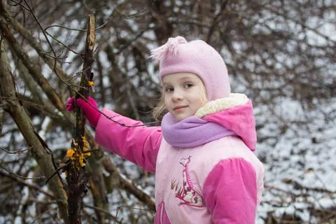 Mushroom study Stock Photos