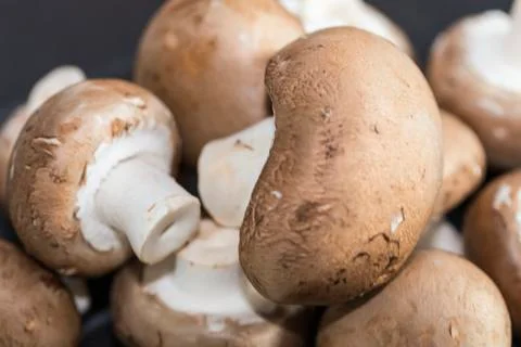 Mushroom on table Stock Photos