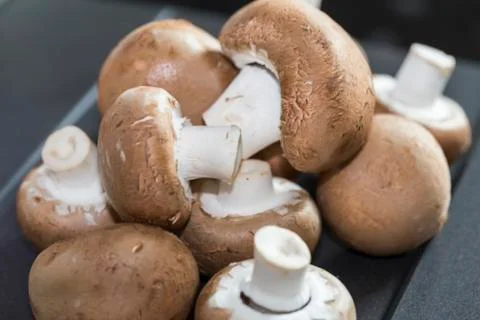 Mushroom on table Stock Photos