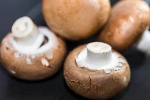 Mushroom on table Stock Photos