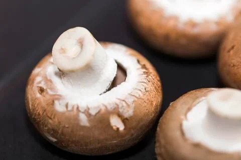 Mushroom on table Stock Photos