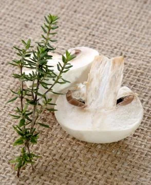 Mushroom with thyme on jute Stock Photos