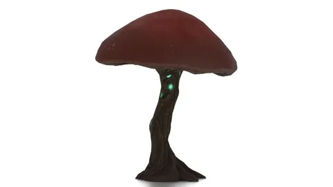 Mushroom tree on white background Stock Footage 297994833