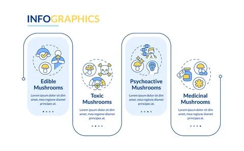 Mushroom types blue rectangle infographic template Stock Illustration