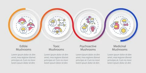 Mushroom types loop infographic template 스톡 일러스트