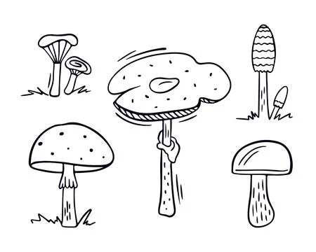 Mushroom vector fall clip art set in doodle style Stock Illustration