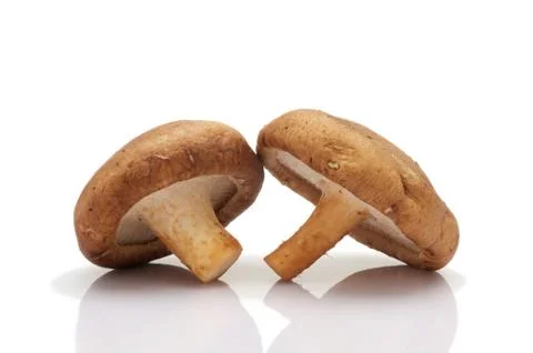 Mushroom vegetable Stock Photos