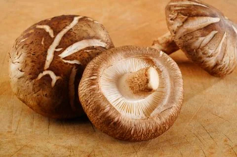 Mushroom vegetable 스톡 사진