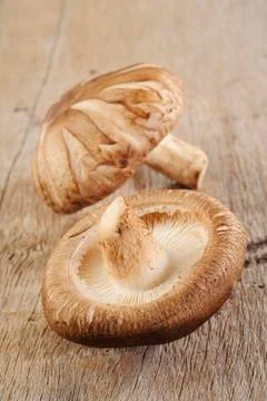 Mushroom vegetable 스톡 사진