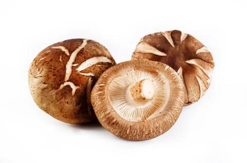 Mushroom vegetable Stock Photos