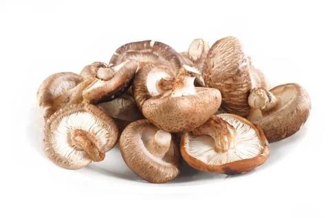 Mushroom vegetable Stock Photos