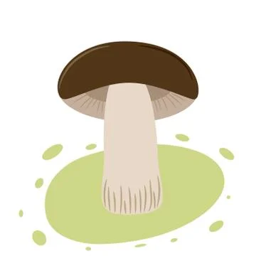 Mushroom on white background Stock Illustration