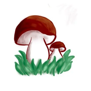 Mushroom on white background Stock Illustration