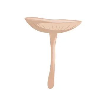 Mushroom on a white background vector illustration. Stock Illustration