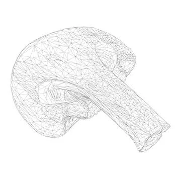 Mushroom wireframe cut in half from black lines isolated on white background. Stock Illustration