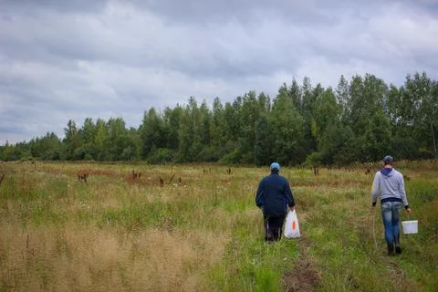Mushroomers Stock Photos