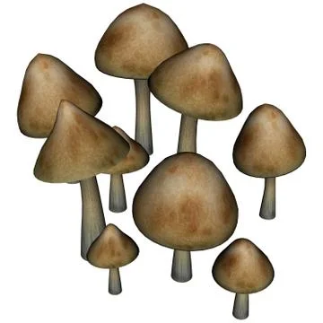 Mushrooms - 3D render Stock Illustration