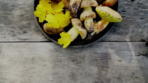 Mushrooms are placed on the table for serving. Stock Footage 143153454