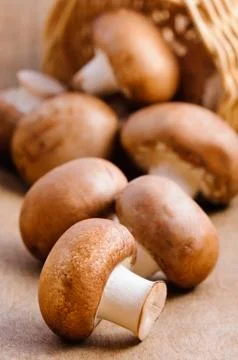 Mushrooms background Stock Photos