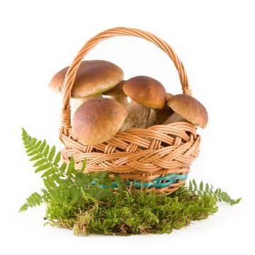 Mushrooms in a basket Stock Photos
