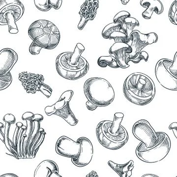 Mushrooms black white seamless pattern. Sketch vector illustration. Hand draw Stock Illustration