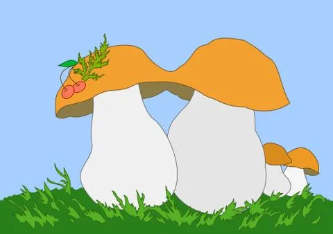 Mushrooms ceps Stock Illustration