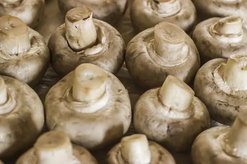 Mushrooms-champignons on the table Foto stock