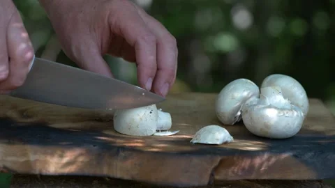 Mushrooms chopped on a stump in the forest Stock Footage 160861884