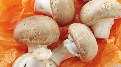 MUSHROOMS IN CLOSE UP MACRO TRACKING SHOT OVERHEAD Vidéo 62232162