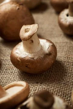 Mushrooms close up Stock Photos