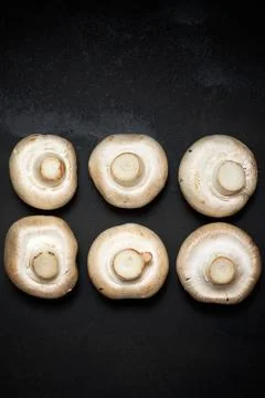 Mushrooms close up Fotos de archivo