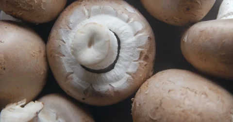 Mushrooms close up studio shot over rotating Stock Footage 324839360