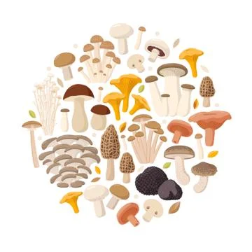 Mushrooms collection of vector flat illustrations isolated on white in round Stock Illustration