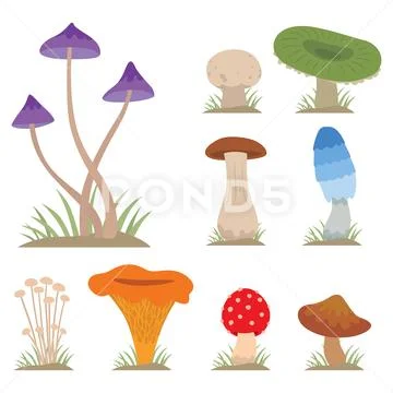Mushrooms for cook food and poisonous nature meal vegetarian healthy autumn Stock Illustration