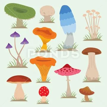 Mushrooms for cook food and poisonous nature meal vegetarian healthy autumn Stock Illustration
