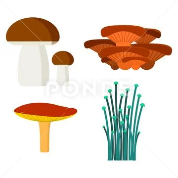 Mushrooms for cook food and poisonous nature meal vegetarian healthy autumn Stock Illustration