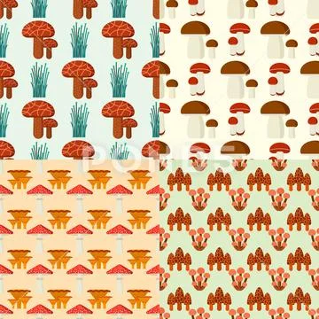 Mushrooms for cook food and poisonous nature meal vegetarian healthy autumn Stock Illustration