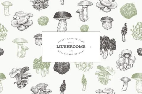 Mushrooms design template. Vector hand drawn illustrations. Mushroom in retro Stock Illustration
