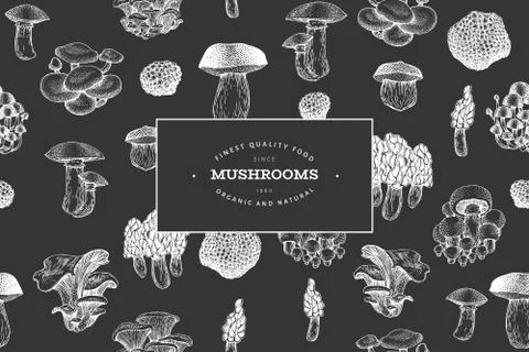 Mushrooms design template. Vector hand drawn illustrations on chalk board. Mu Stock Illustration