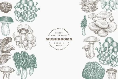 Mushrooms design template. Vector hand drawn illustrations. Mushroom in retro Stock Illustration