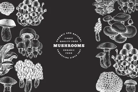 Mushrooms design template. Vector hand drawn illustrations on chalk board. Mu Stock Illustration