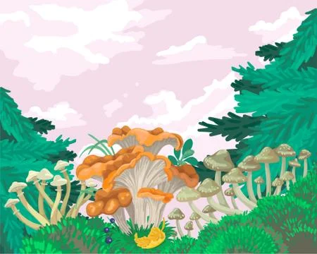 Mushrooms of different types in the green forest, on the sky background. Vector Stock Illustration