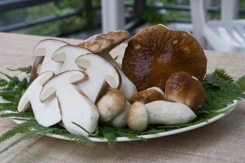 Mushrooms in the dish Stock Photos