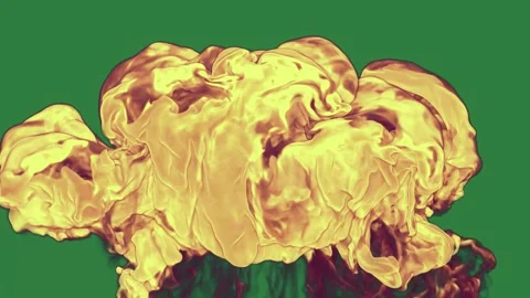 Mushrooms Dynamic On Green Screen Chroma Key Background Stock Footage 338012727