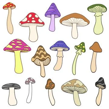 Mushrooms elements set collection vector illustration Stock Illustration