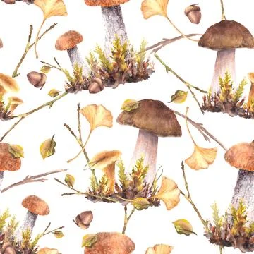 Mushrooms fall harvest pattern. Boletus, Chanterelle with moos and leaves Illustrazione stock