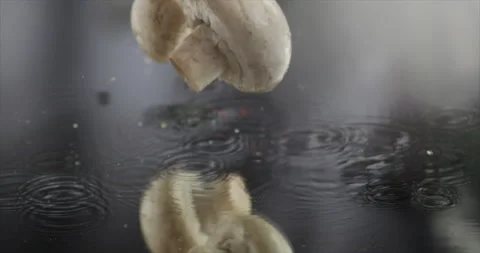 Mushrooms fall on a mirror surface Stock Footage 198560664