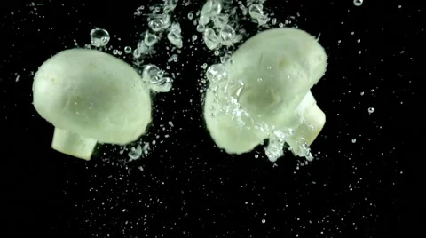 Mushrooms Fall Into the Water Stock Footage 46208003
