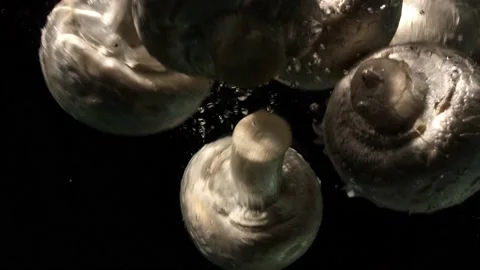 Mushrooms fall into the water Video stock 233918652