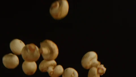 Mushrooms falling in slow motion isolated 스톡 동영상 126259083
